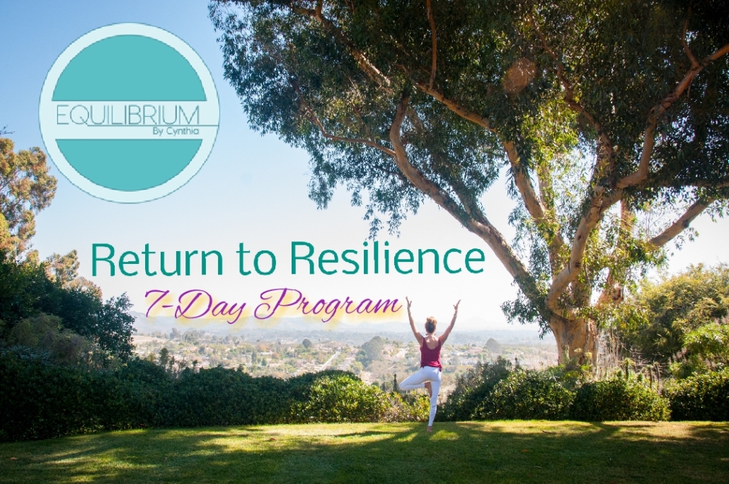 Return To Resilience - Equilibrium By Cynthia in Encinitas, CA